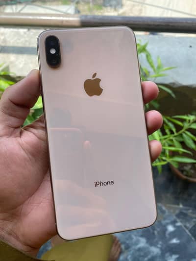 iphone xs max gold color non pta