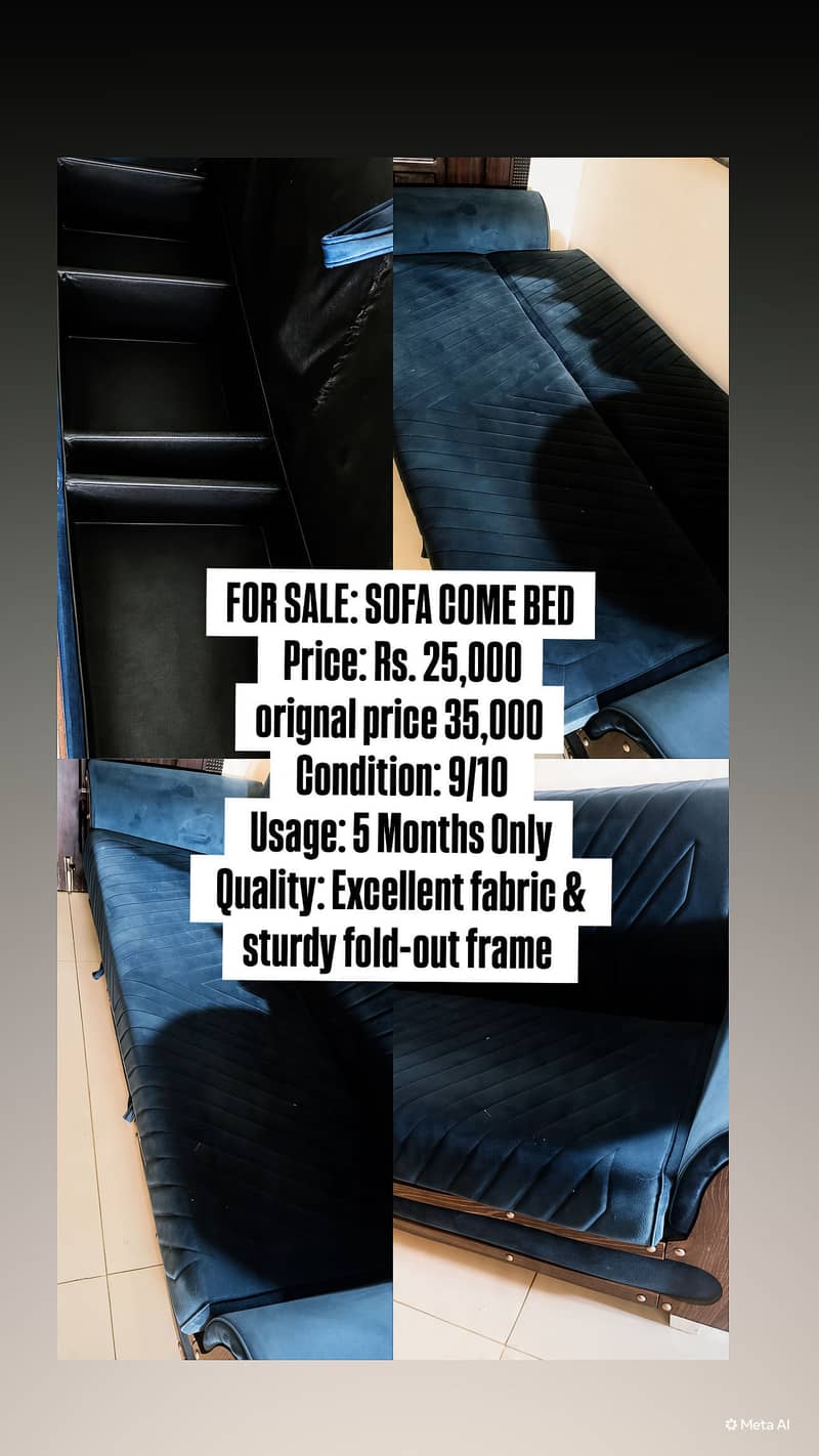 Sofa cum bed 1