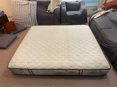 molty foam spring mattress