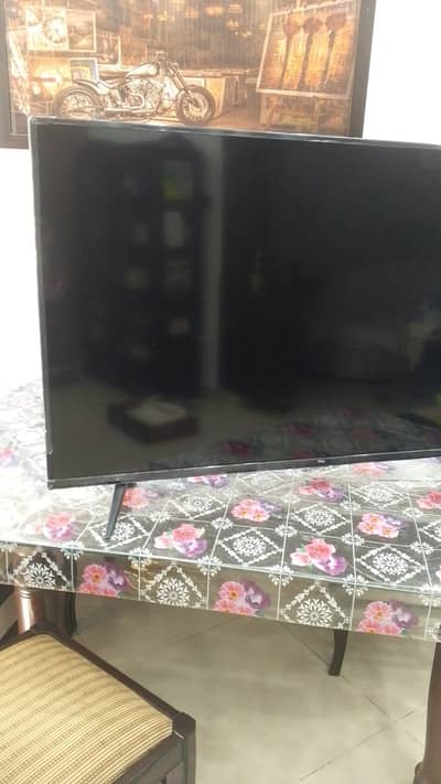TCL body