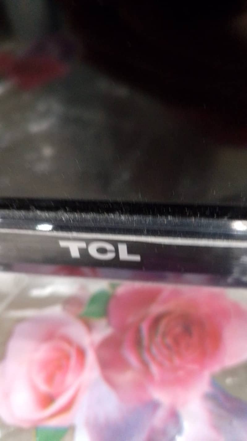 TCL body 1