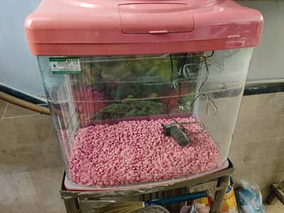 aquarium|fish aquarium