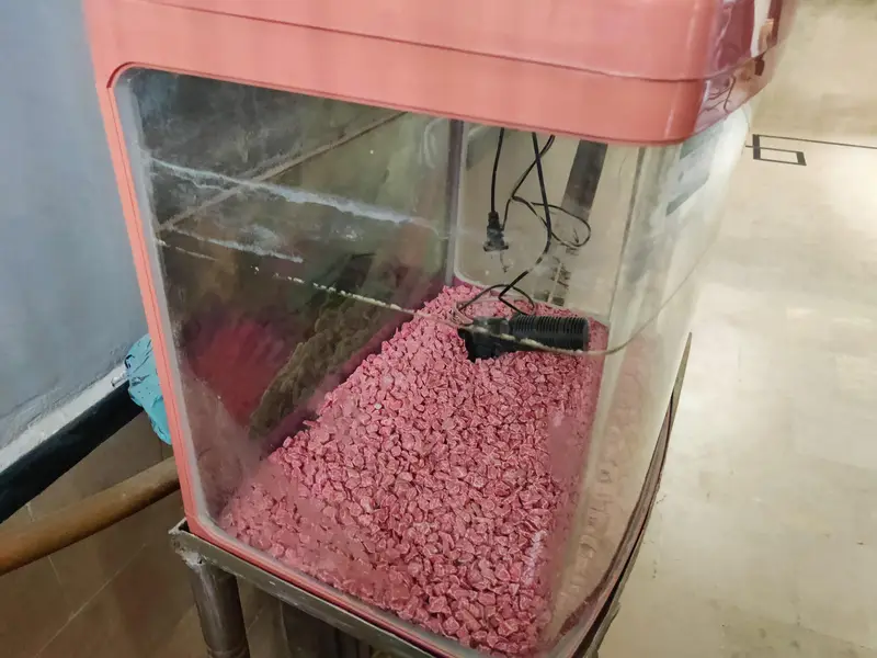aquarium|fish aquarium — photo 2