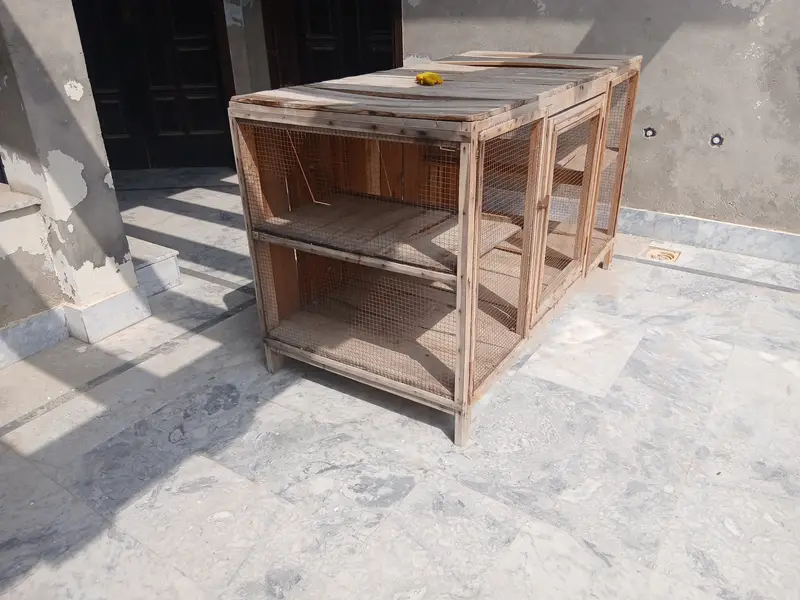 Cage for birds — photo 3