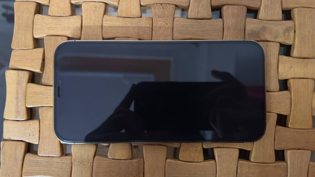 Apple iPhone 12 Pro Max 0