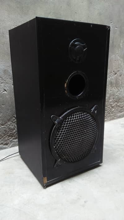 Bluetooth speaker 10 inch