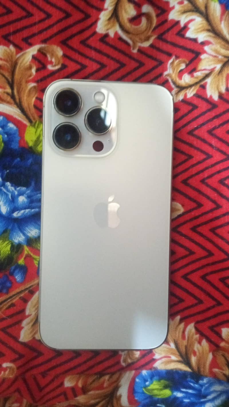 Apple iPhone 13 Pro 1