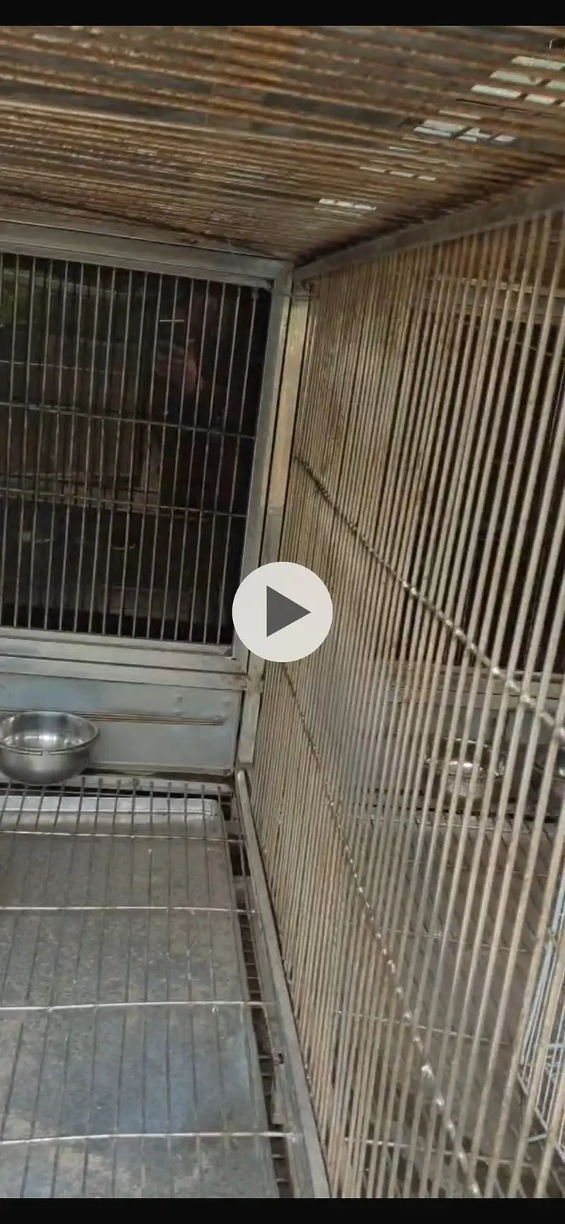 Big size 6 portions cage — photo 2