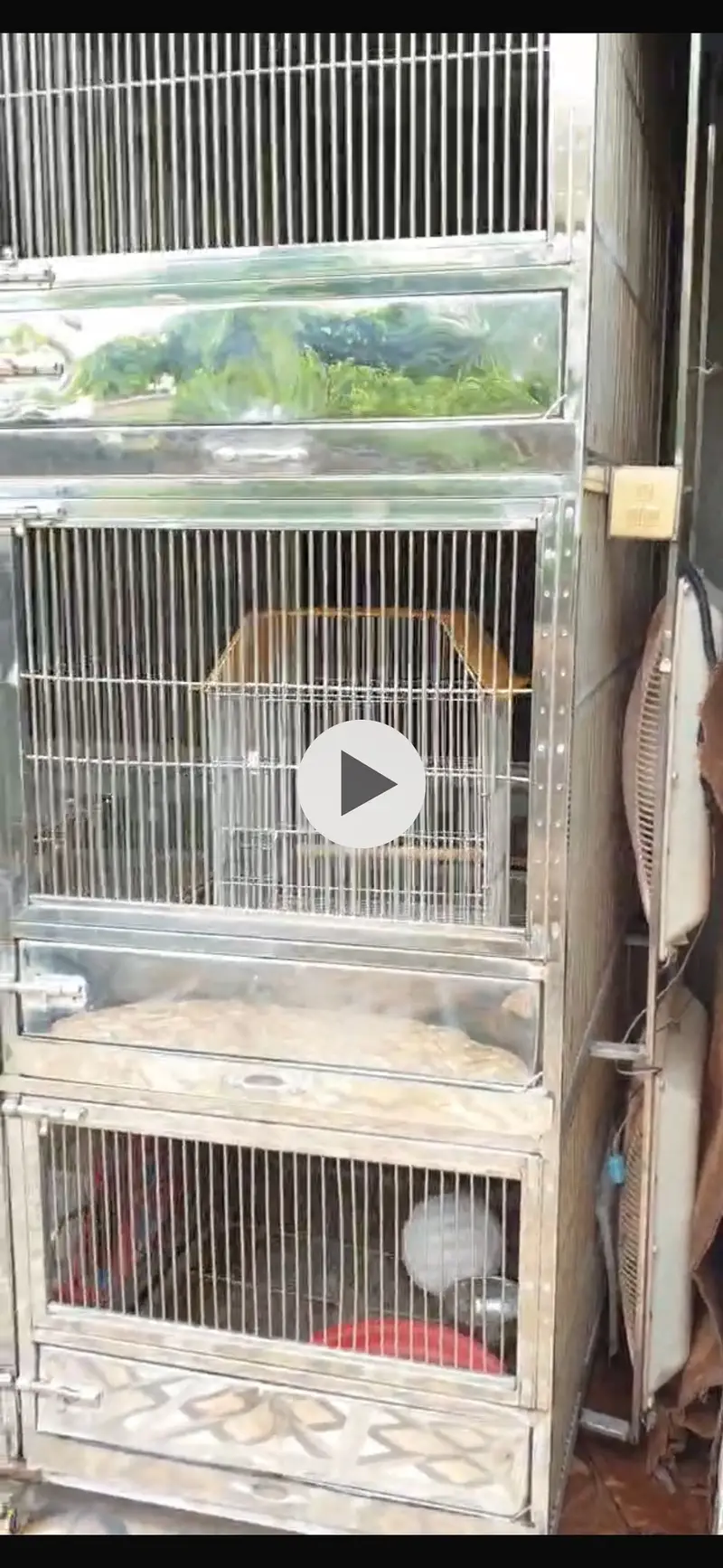 Big size 6 portions cage — photo 4