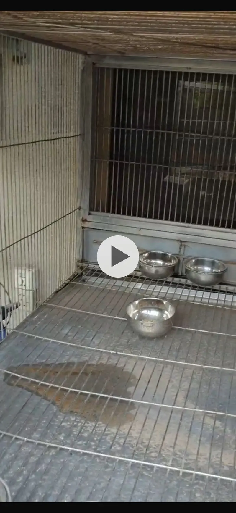 Big size 6 portions cage — photo 5