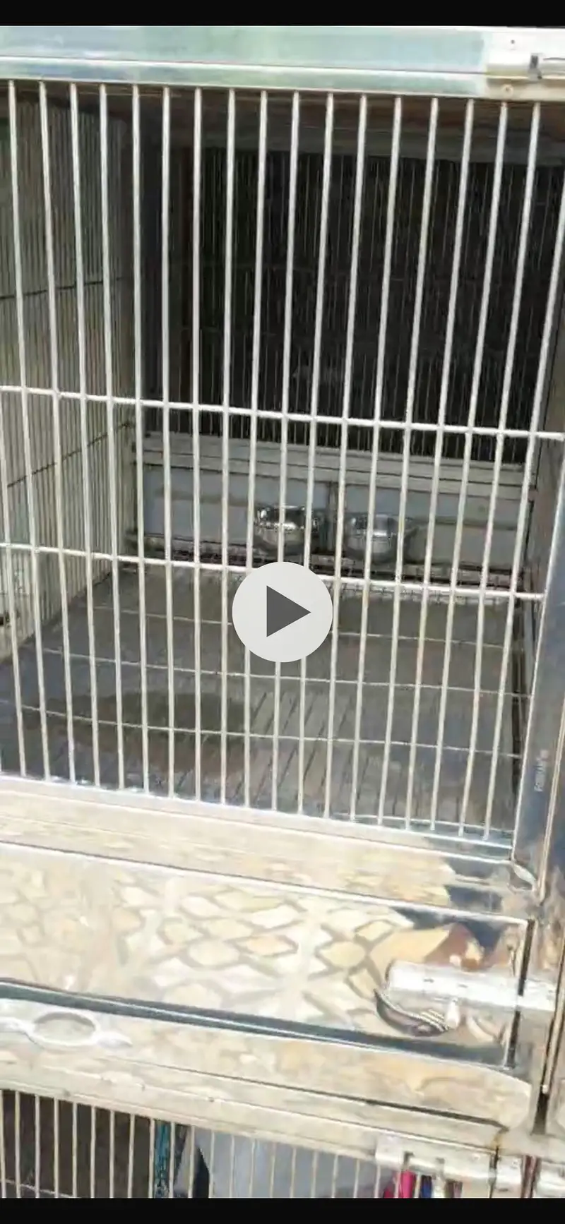 Big size 6 portions cage — photo 6