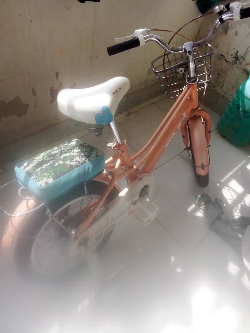 Cycle 0