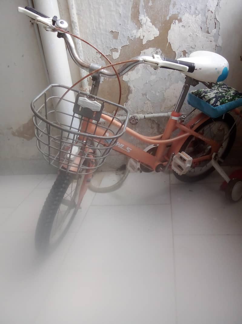 Cycle 2
