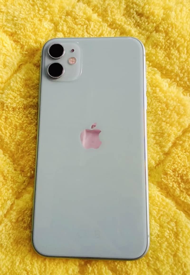 iPhone 11 0