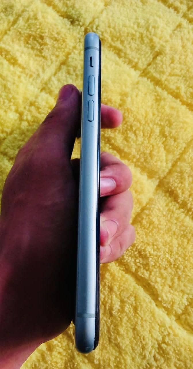 iPhone 11 6