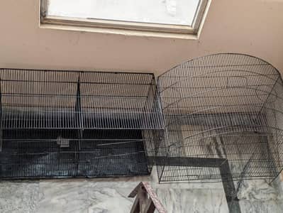 big and beautiful cages for sale