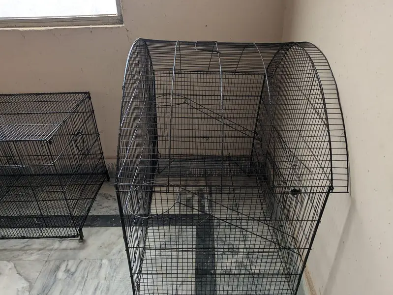 big and beautiful cages for sale — photo 2