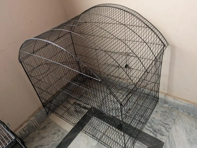 big and beautiful cages for sale — photo 3