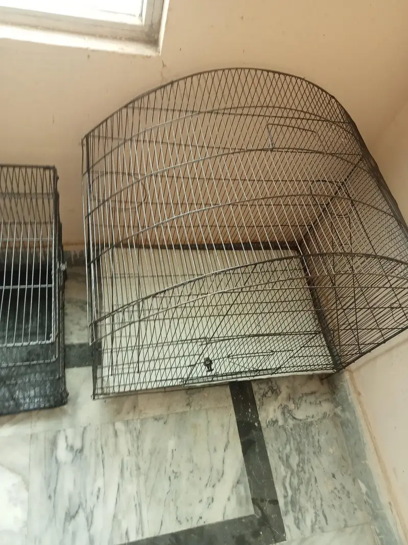 big and beautiful cages for sale — photo 4