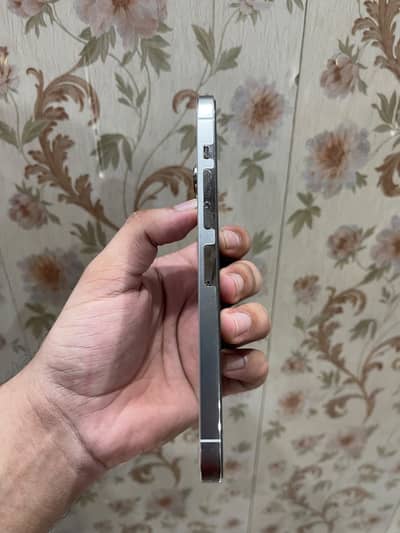 Apple iPhone 13 Pro Max dual pta approved 