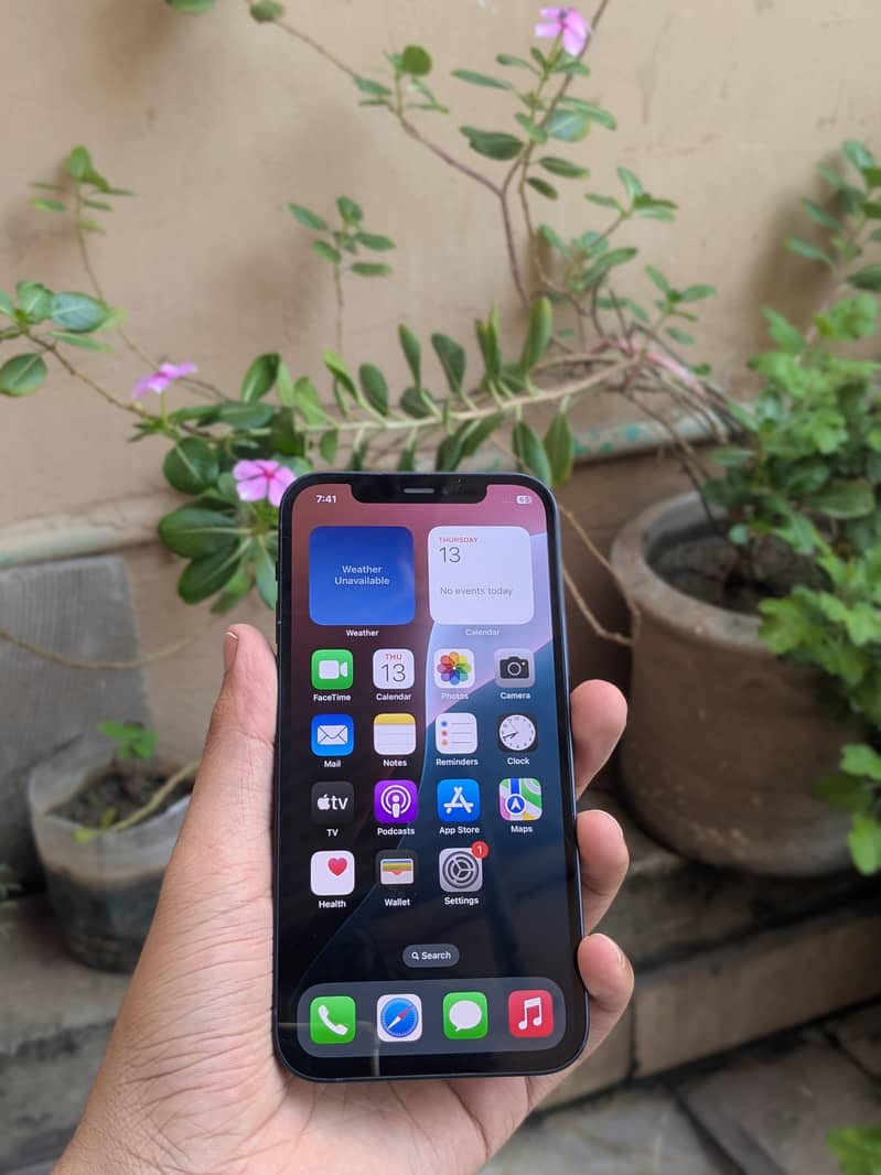 Apple iPhone 12 0