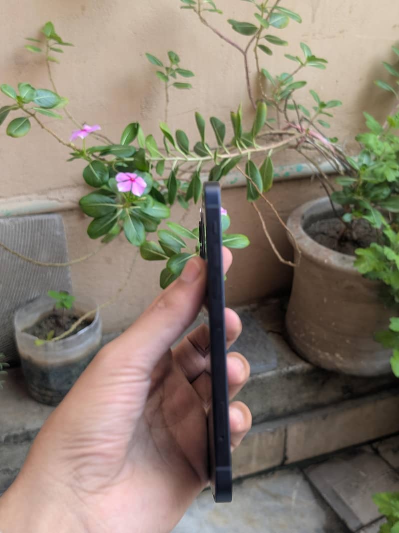Apple iPhone 12 1