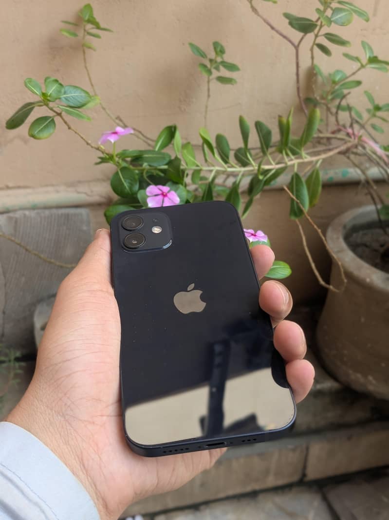 Apple iPhone 12 2