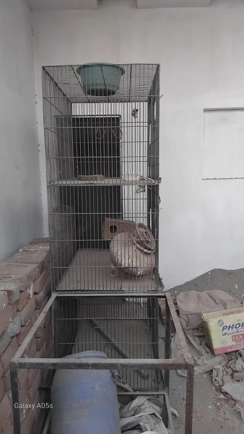 portion cage — photo 2