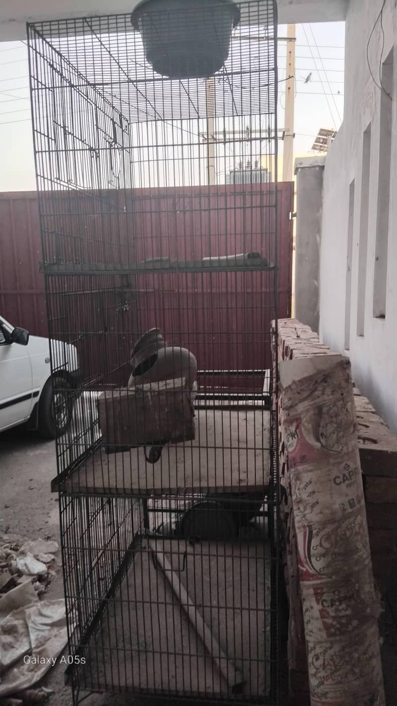 portion cage 2