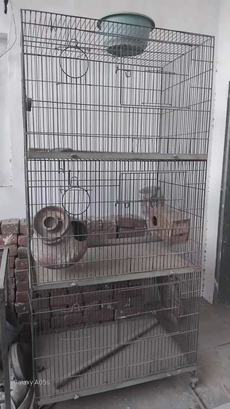 portion cage — photo 4