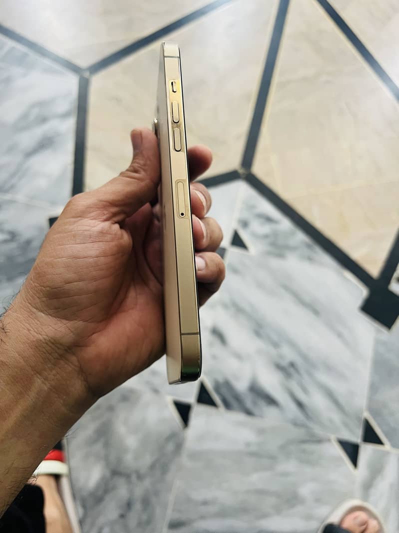 Apple iPhone 12 Pro Max 1