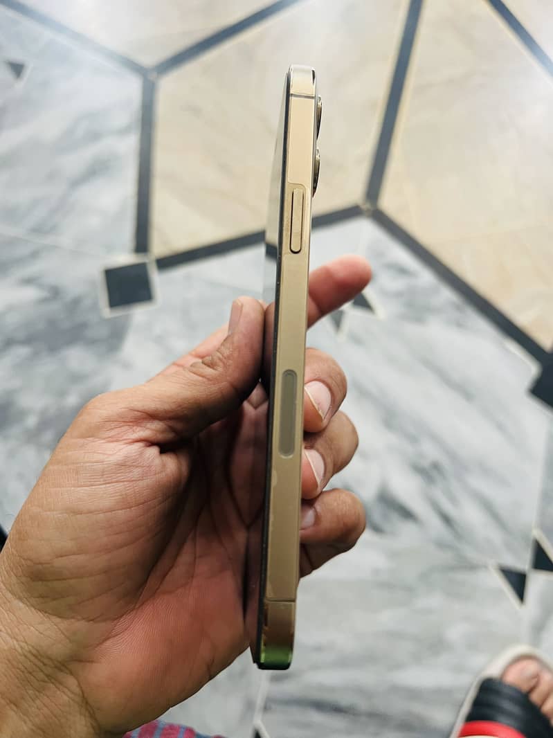 Apple iPhone 12 Pro Max 2