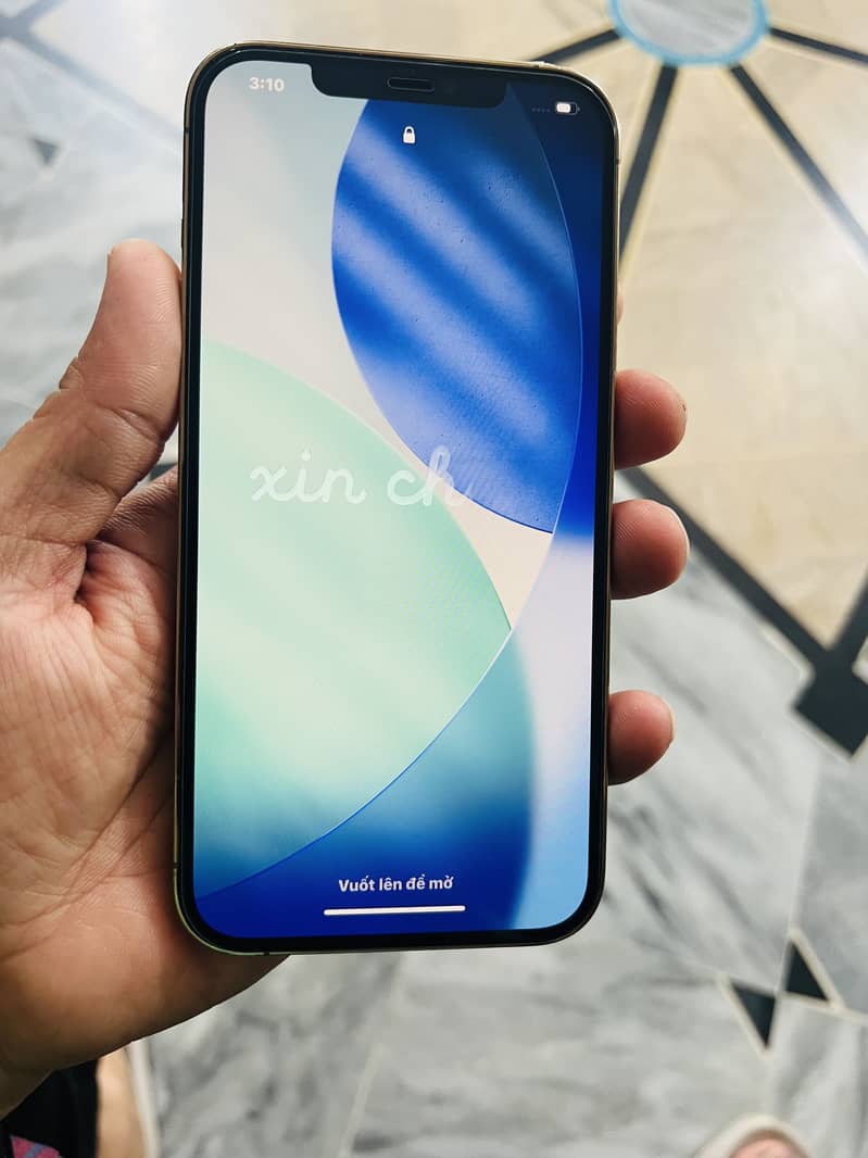 Apple iPhone 12 Pro Max 3