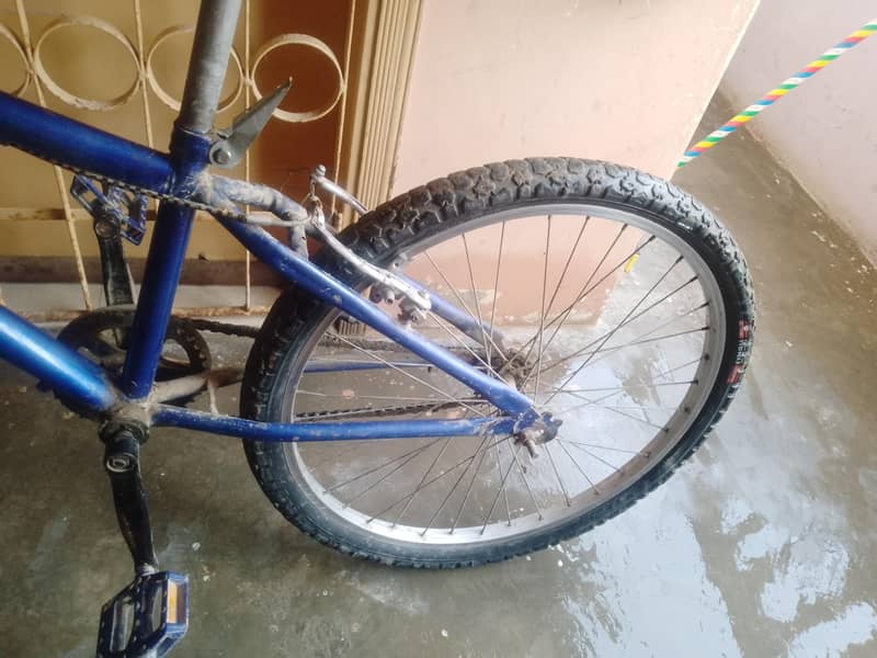cycle 0