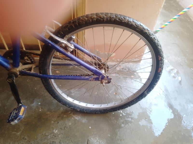 cycle 2