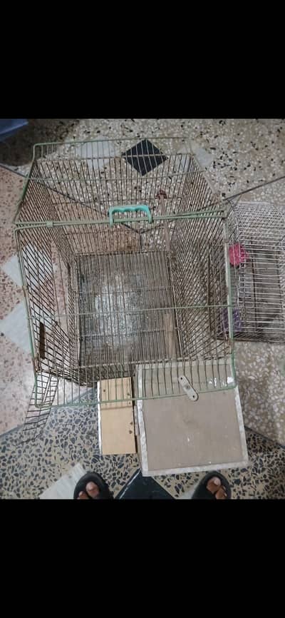 cages for sale