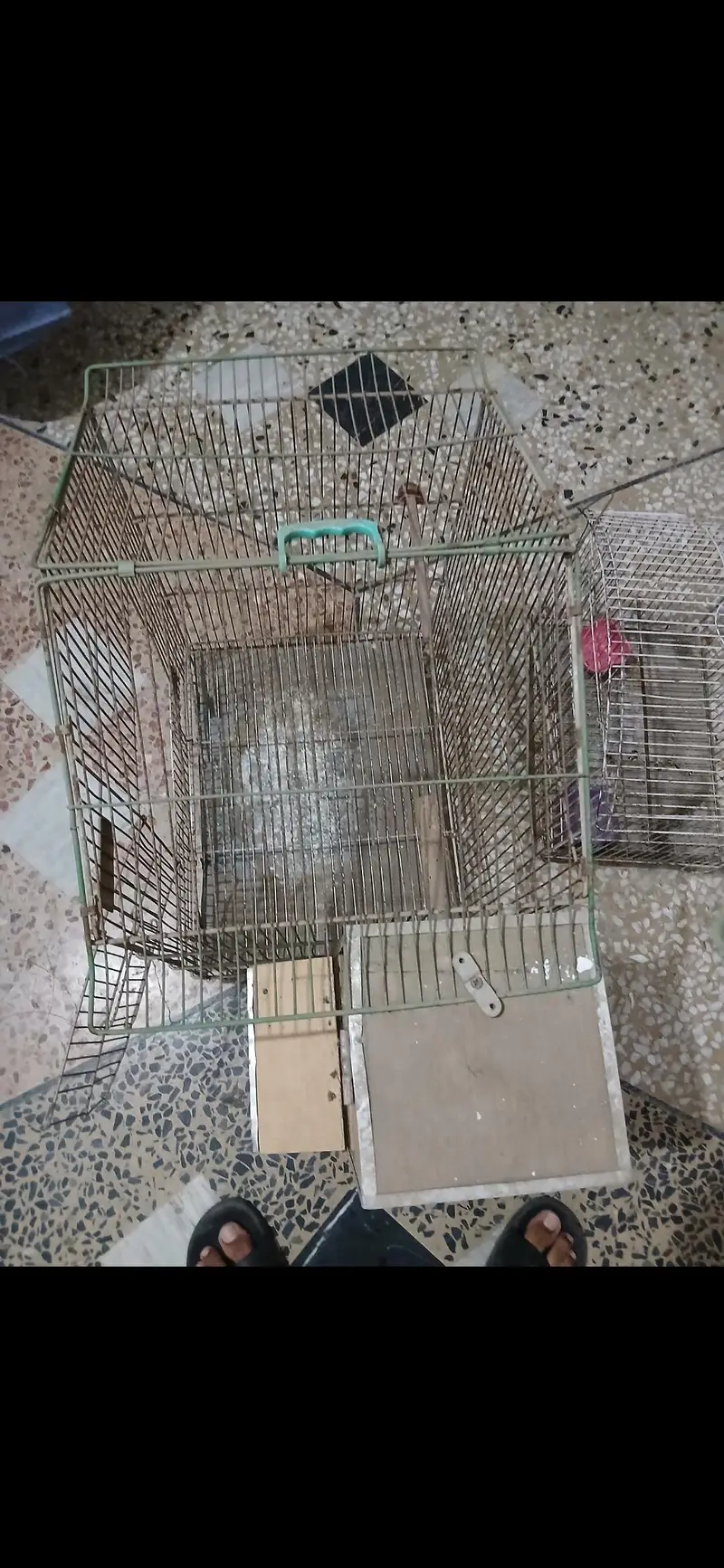 cages for sale