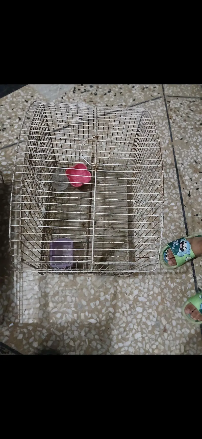 cages for sale — photo 2