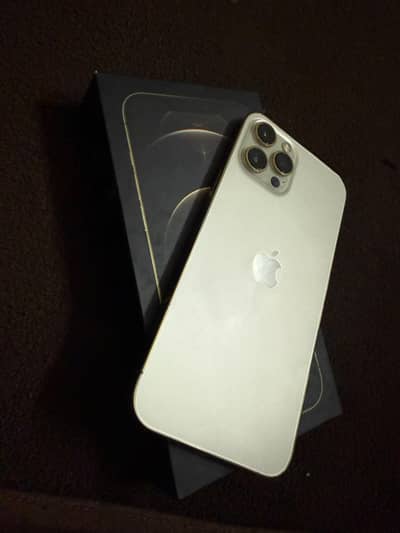 Apple iPhone 12 Pro Max