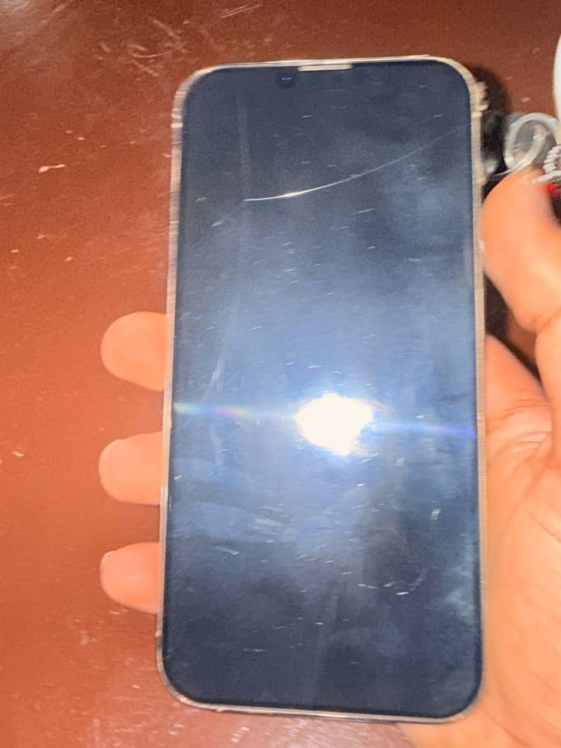 Apple iPhone 13 Pro Max 0