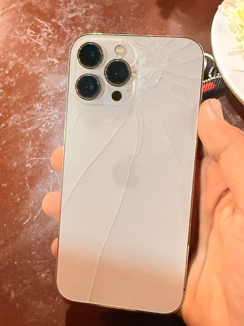 Apple iPhone 13 Pro Max 1