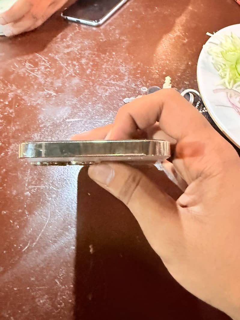 Apple iPhone 13 Pro Max 3