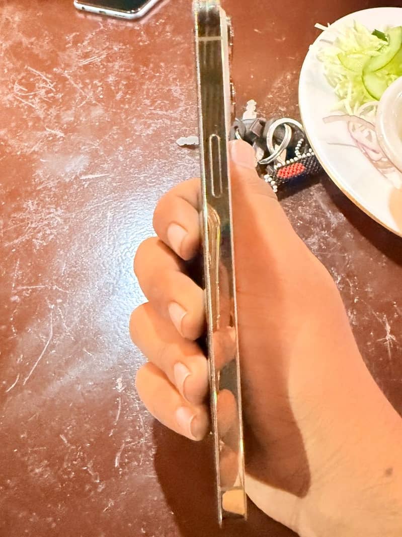 Apple iPhone 13 Pro Max 4