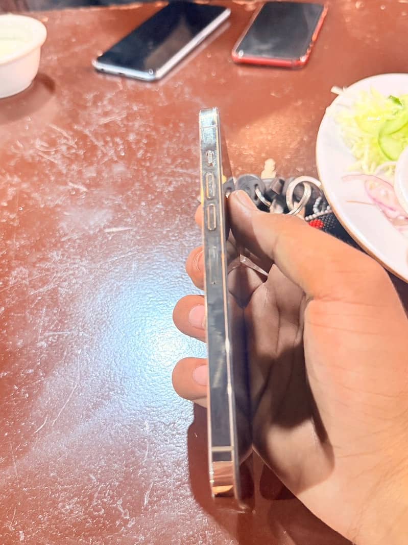 Apple iPhone 13 Pro Max 5
