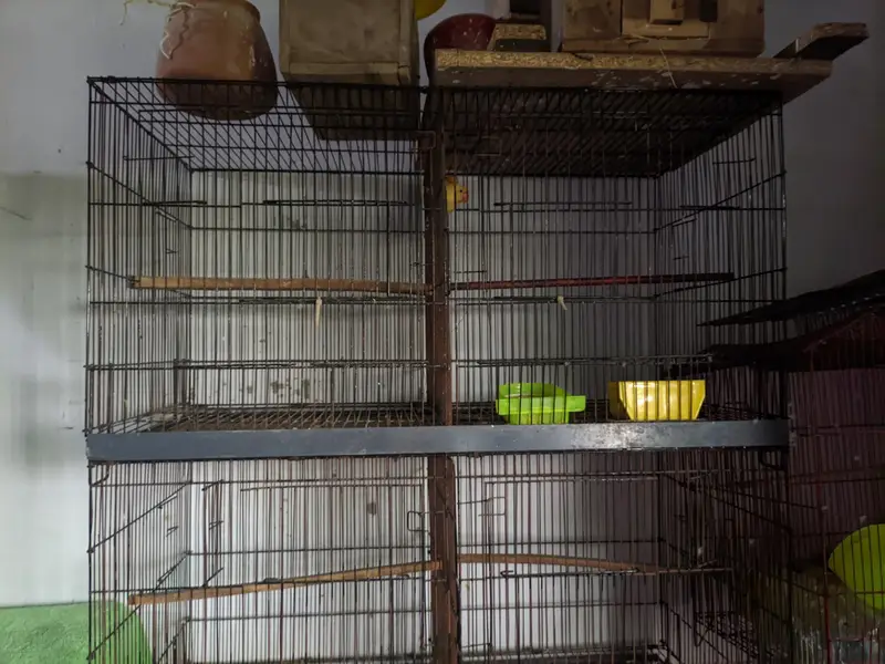 Heavy Duty 8-Portion Iron Cage with Accessories | Full Setup — photo 3