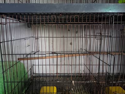 Heavy Duty 8Portion Iron Cage with Accessories breeding box Full Setup