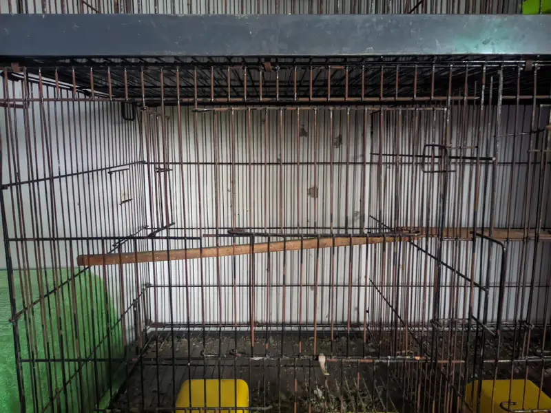 Heavy Duty 8-Portion Iron Cage with Accessories | Full Setup — photo 6