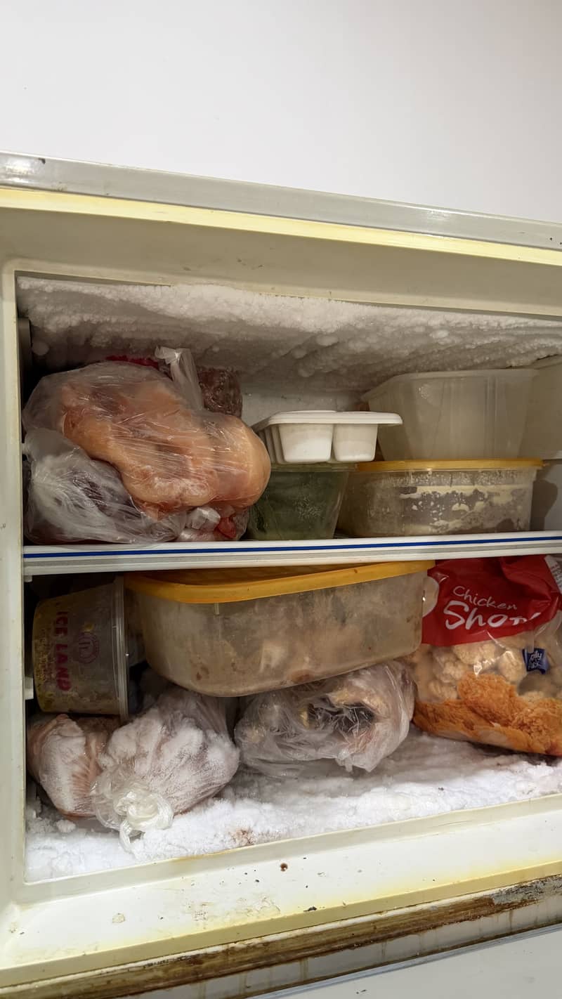 Dawlance fridge 3