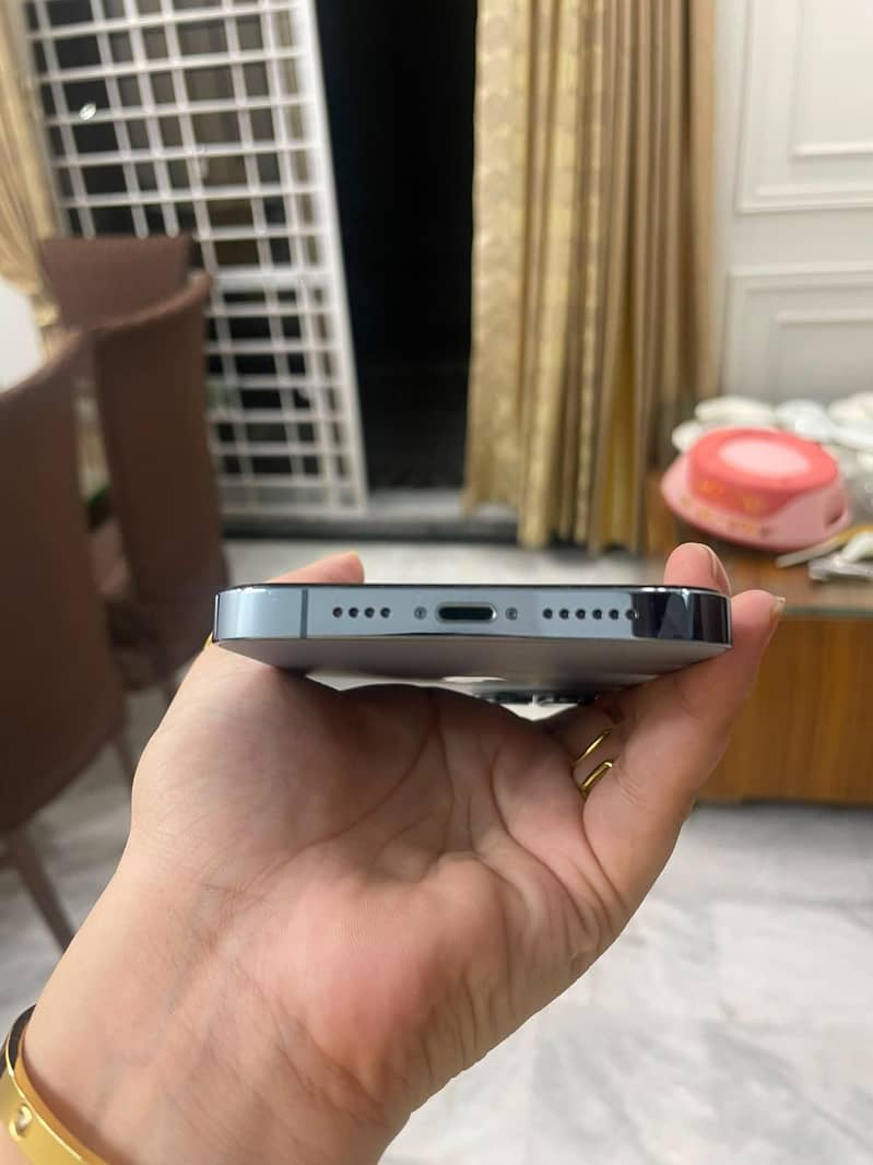 iPhone 13 Pro Max 1