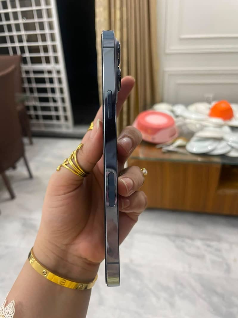 iPhone 13 Pro Max 2